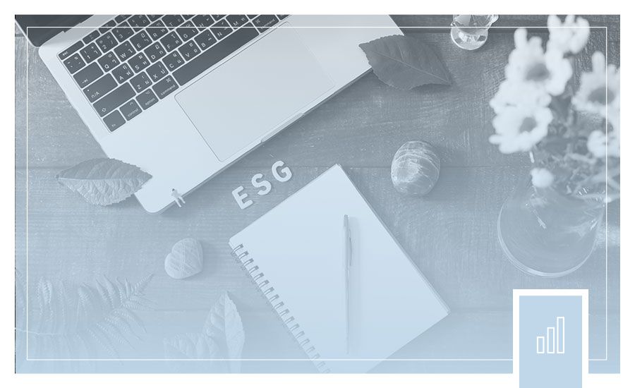 ONLINE | Como Ganhar Vantagens Competitivas elaborando o Relatório ESG