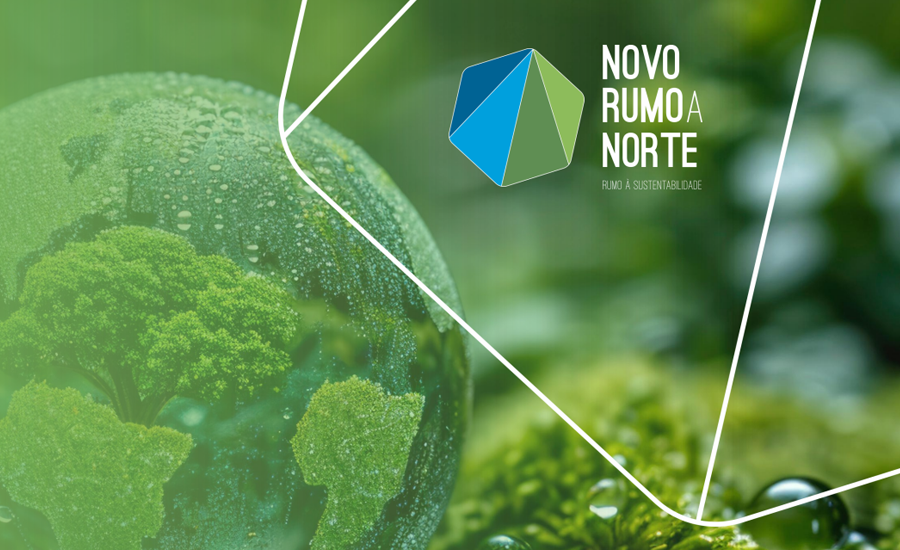 Norte. Guias práticos para um novo rumo