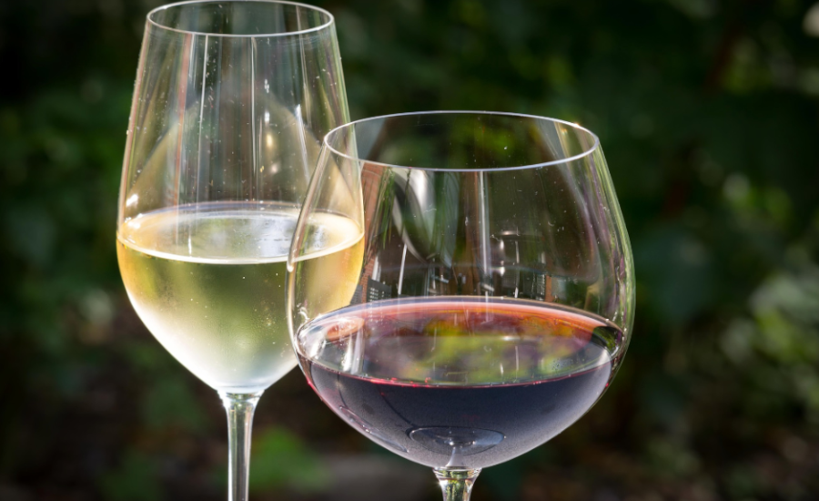 De volta ao Brasil, a promover vinhos portugueses