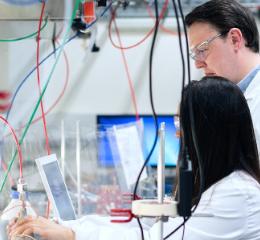 Portugal regista forte retrocesso em inovação