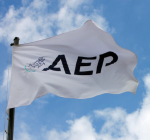 AEP completa 174 anos de existência