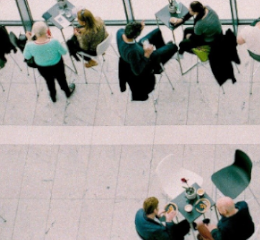 Colaboração em rede em conversa ao pequeno-almoço