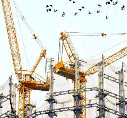 Na Argélia, a promover o setor da construção