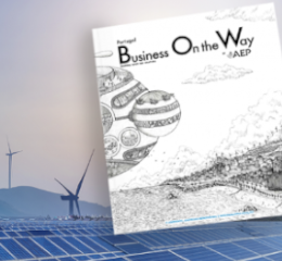 Sustentabilidade ambiental em foco na revista BOW