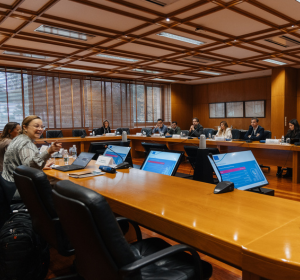A trabalhar parcerias no mercado da Alemanha