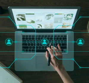 Jovens empreendedores em contacto com empresas