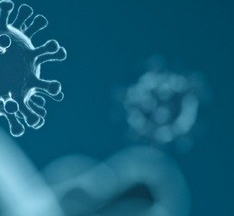 Serviço criado pela AEP já informou mais de 500 empresas