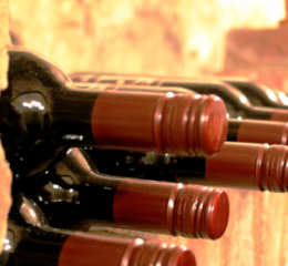 Importadores brasileiros de visita a Portugal