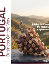 BOW Magazine, nr. 37 |  The Wine Sector: From Vineyard to Global Glass
