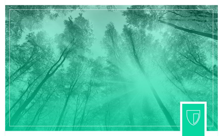 Workshop | Cálculo da Pegada de Carbono de Organizações e Produtos