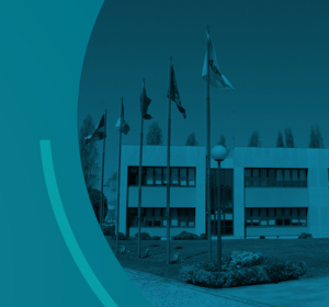 OE 2021 desmontado e simplificado