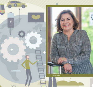 A Economia Circular – ponto de situação