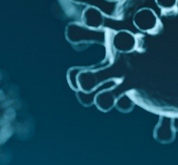 SOS Coronavírus para minorar impactos da pandemia