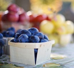 Materiais em contacto com alimentos em análise