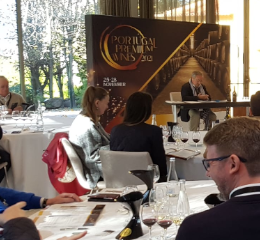 Importadores no Porto para conhecer vinhos premium