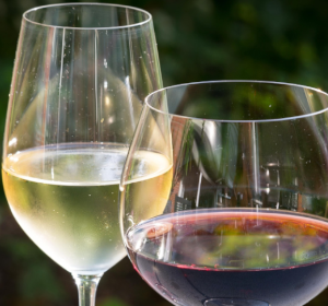 De volta ao Brasil, a promover vinhos portugueses