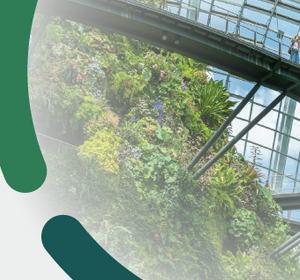 DIGIVERDE 5.0. Promover dupla transição das PME